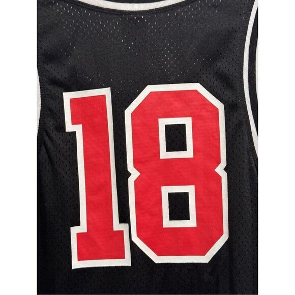 Basketball Skateboards #18 Jacuzzi & Heron Preston Blinged Jersey Men’s Small - Picture 13 of 13